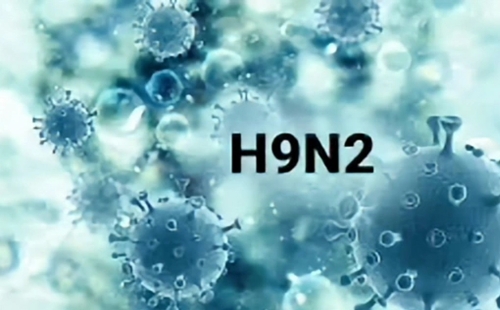 Thông tin về ca nhiễm cúm A/H9N2 đầu tiên tại Việt Nam
